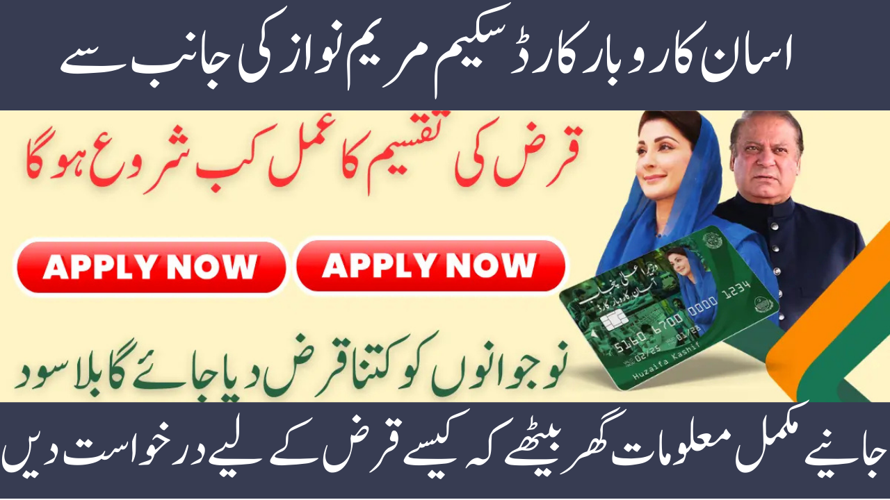 Details of the CM Punjab Asaan Karobar Card Loan Disbursement