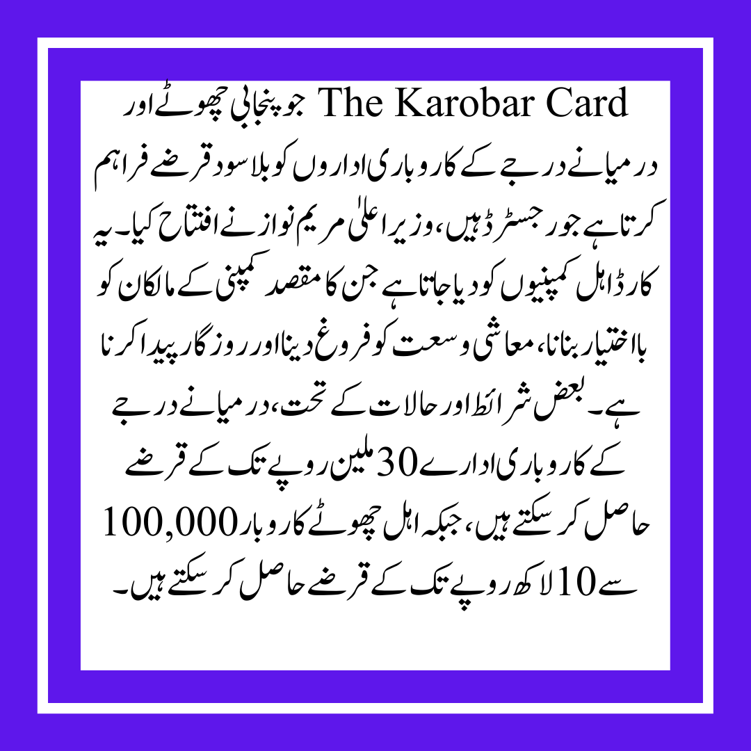 Eligibility for the Maryam Nawaz Loan Scheme 2025 Understand the Amount of the Loan